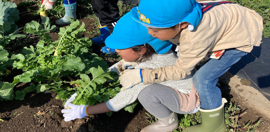 友愛幼稚園